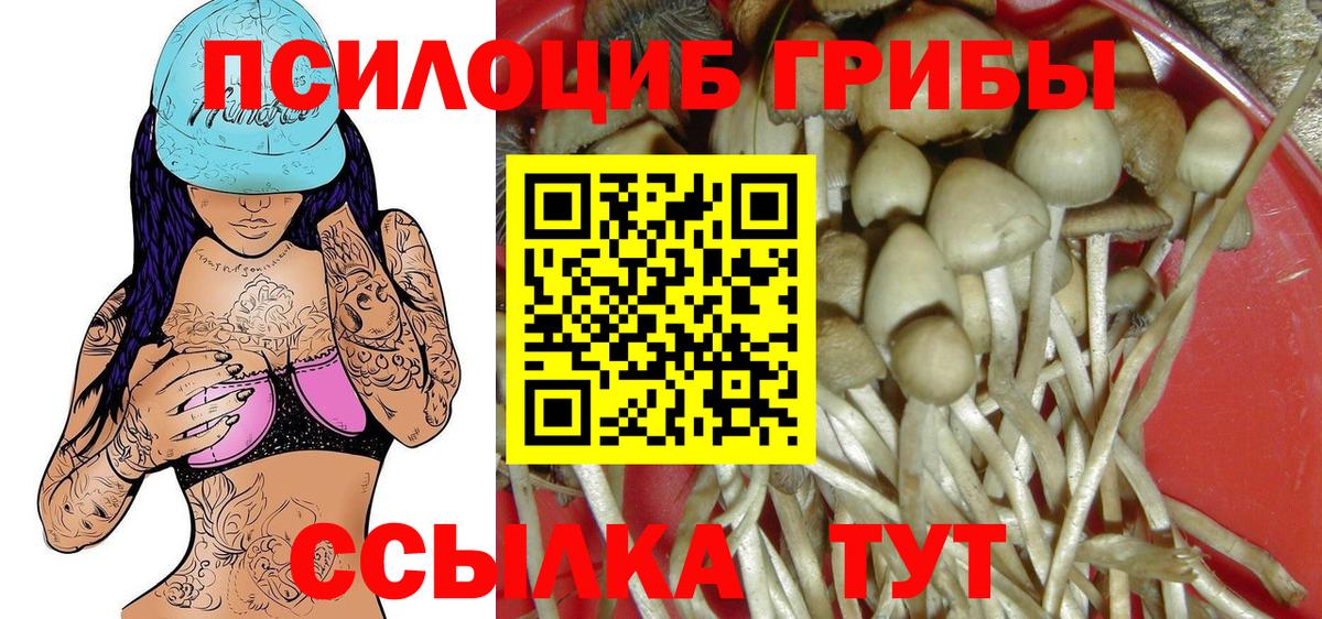 Псилоцибиновые грибы мухоморы Железноводск